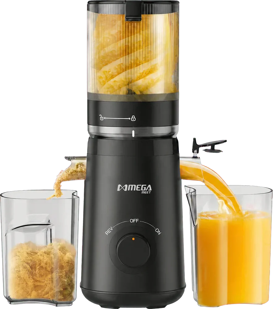 Megameet Slow Juicer MSJ219 perspective view